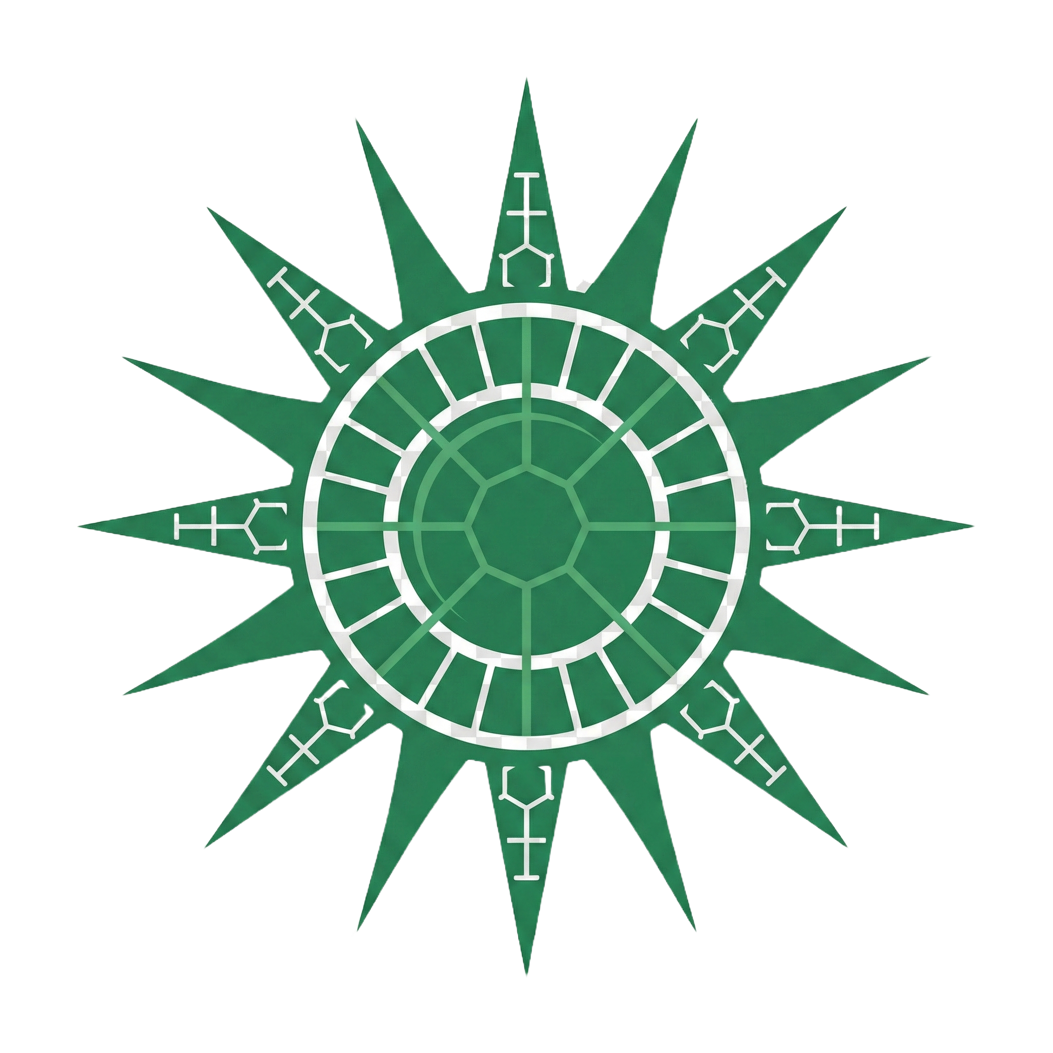 Capital Solar Energy Logo