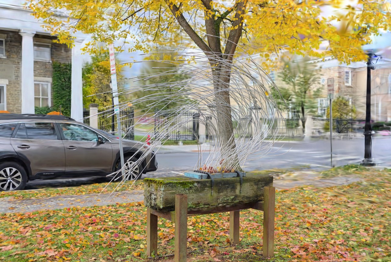 Preview for Cooperstown